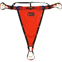 Rettungsdreieck PEGASUS