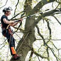 Teleskopstange ArboRapid 75850