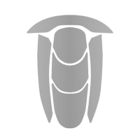 Helmaufkleber WAC-83-252