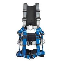 Auffang- und Sitzgurt  IK-G4-DW