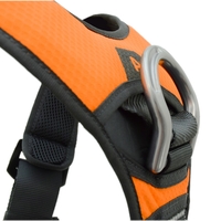 Komplettgurt X-FIVE FAST L