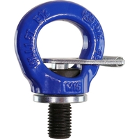 Ringschraube HIGH10-M24 mit Schlüssel