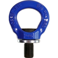 Ringschraube HIGH10-M24 mit Schlüssel