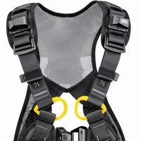 Auffanggurt NEWTON EASYFIT INT Gr. 2