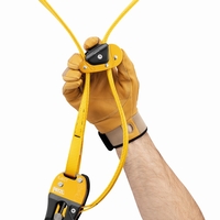 Kambiumschoner EJECT