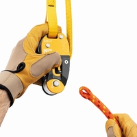 Kambiumschoner EJECT