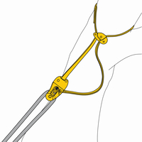 Kambiumschoner EJECT