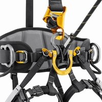 Sitz- und Haltegurt ASTRO® SIT Gr.0 EU