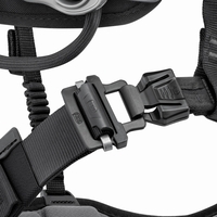 Sitz- und Haltegurt ASTRO® SIT Gr.2 EU