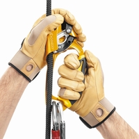 Handsteigklemme ASCENSION