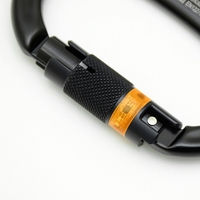 Alu-Karabiner I-OVALONE ALU AUTO BLOCK 712.LM1.LLL